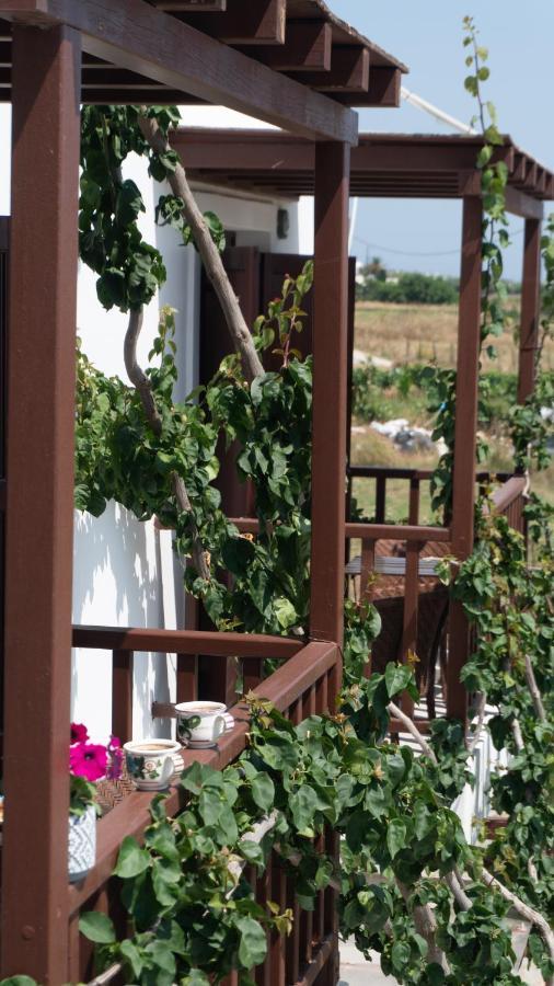 Maestralia Apartment Skyros Exterior photo