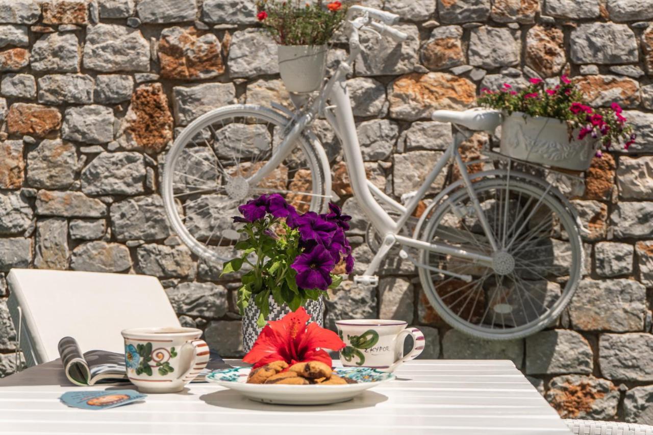 Maestralia Apartment Skyros Exterior photo
